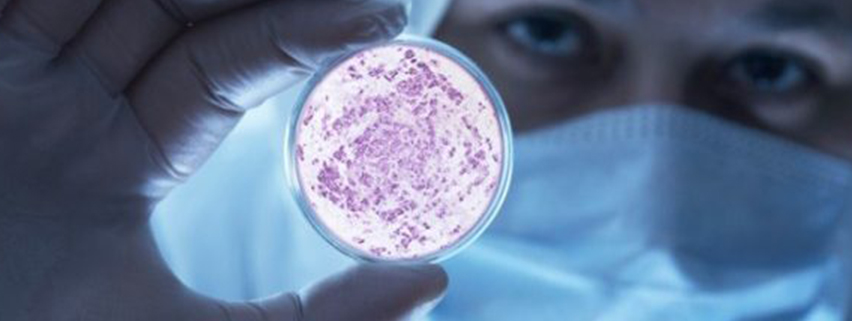 Proteina maschera superbatteri resistenti ad antibiotici