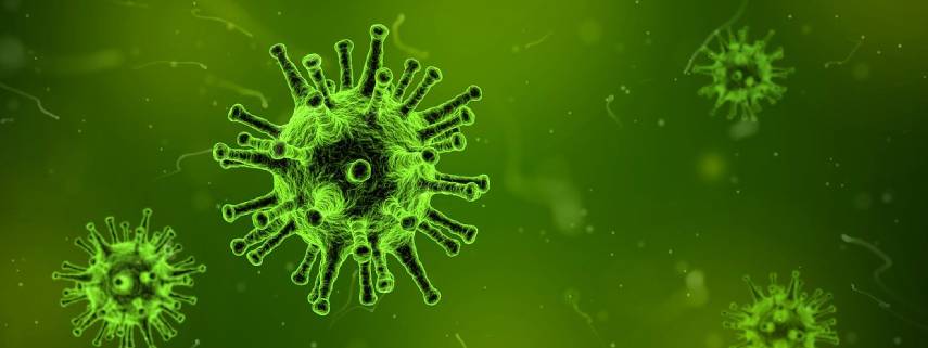 batteri intestinali farmaciapittari (1)